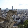IMG 0282