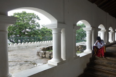 DSC07155