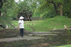 DSC07214